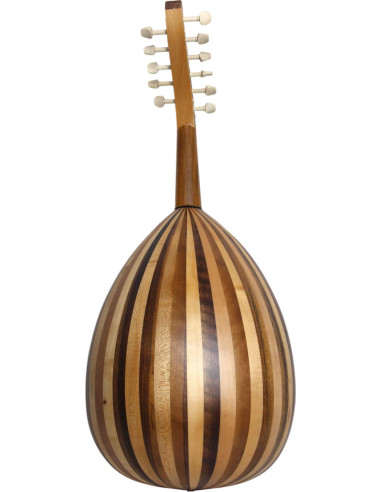 Lute Model 1