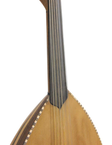 Lute Model 1