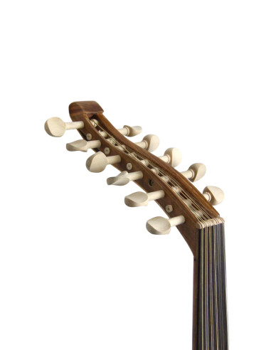 Lute Model 1