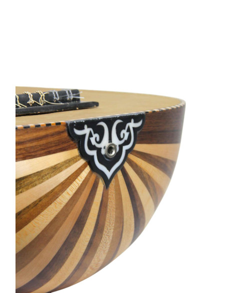 Lute Model 1