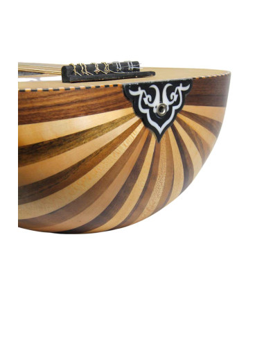 Lute Model 1
