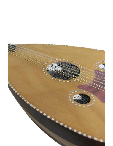 Lute Model 1