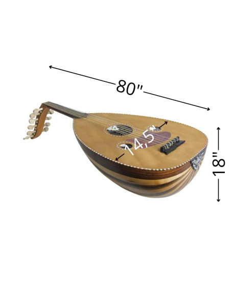 Lute Model 1