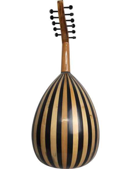 Lute Model 2
