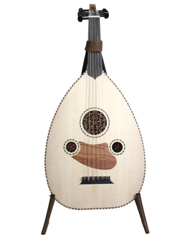 Lute Model 2