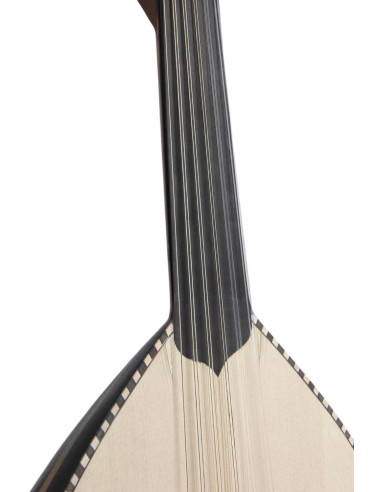 Lute Model 2