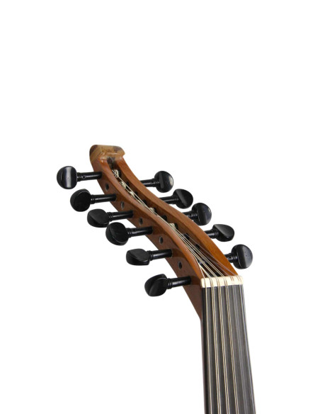 Lute Model 2