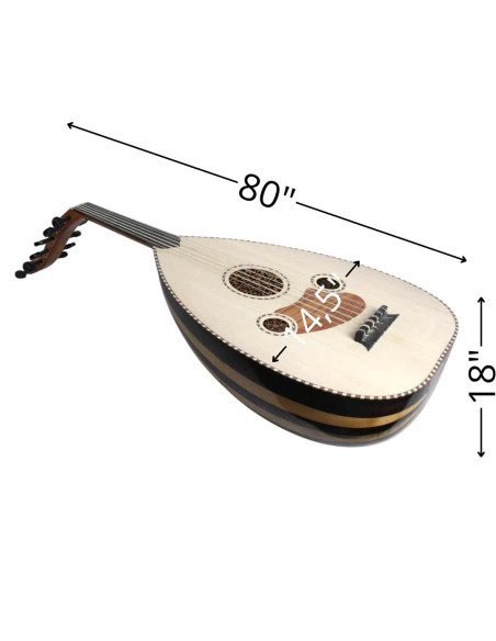 Lute Model 2