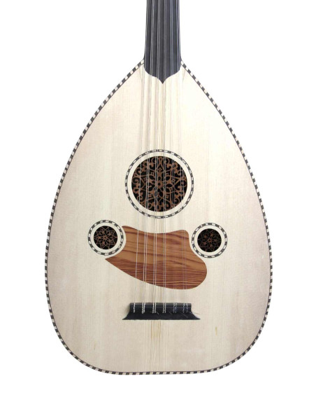 Lute Model 2