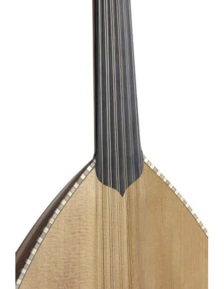 Luth Modèle 3