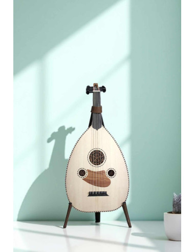 Lute Model 2