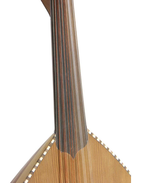 Lute Model 4