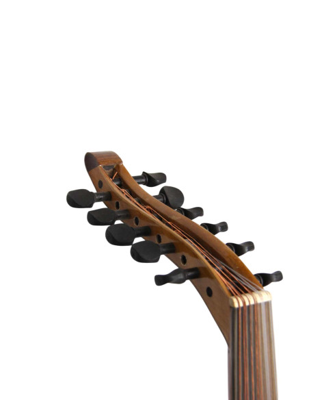 Lute Model 4