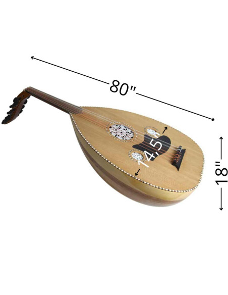 Lute Model 4