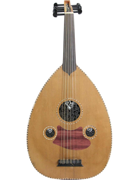 Luth Modèle 5