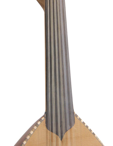 Luth Modèle 5