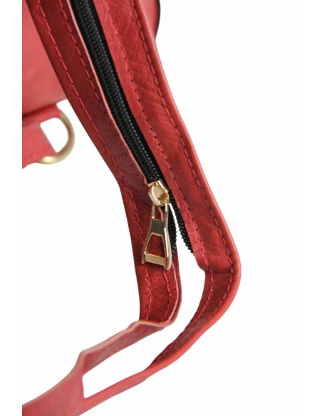 Red backpack